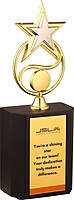 JSL STATUES  TROPHY