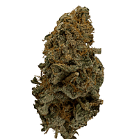 Invaders x Ghost Kong Indoor Hidropónica Premium