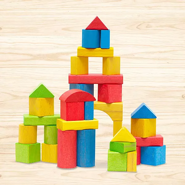 Wooden Building Blocks 50pk