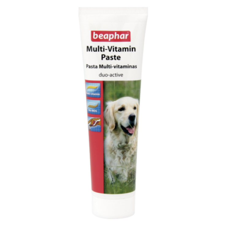 BEAPHAR MULTI VITAMIN PASTE - DOG / 100 G BEAPHAR MULTI VITAMIN PASTE - DOG / 100 G