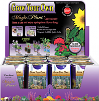 Cactus Plant Growing Kit