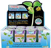 Nature's Greeting Happy Birthday Growing Kit