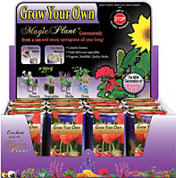 Strawberry Fruits Growing Kit