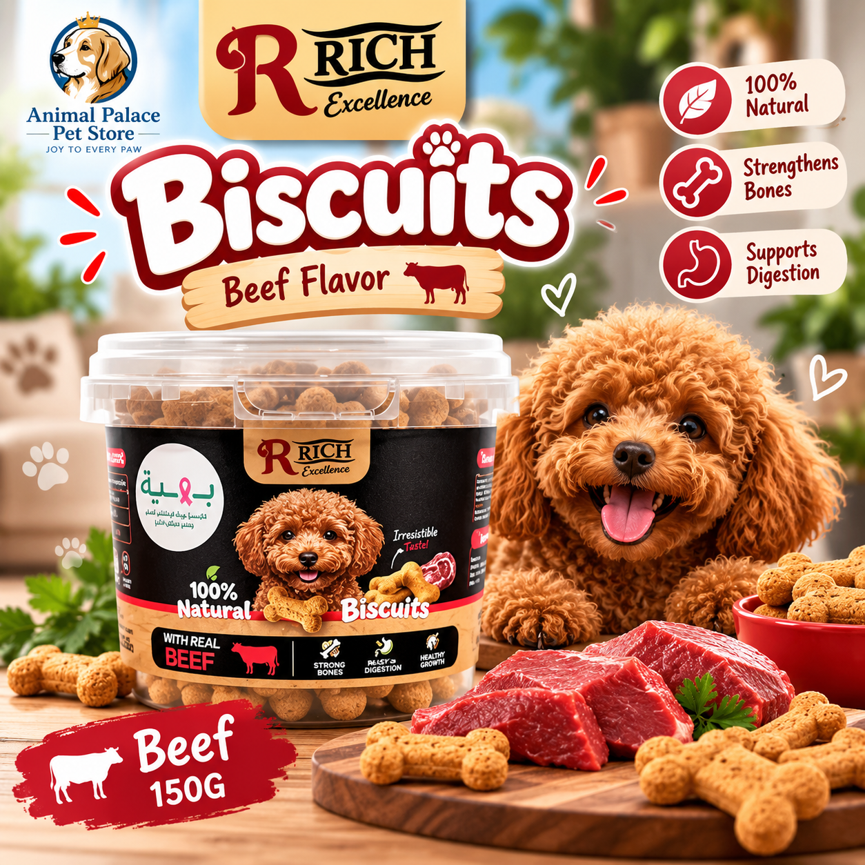 Rich Biscuits Puppy