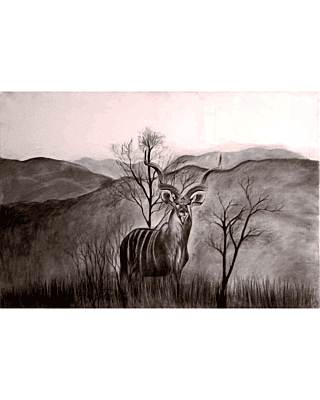 Echoes of the Bush by Annushka