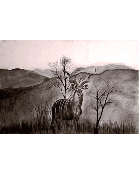 Echoes of the Bush by Annushka
