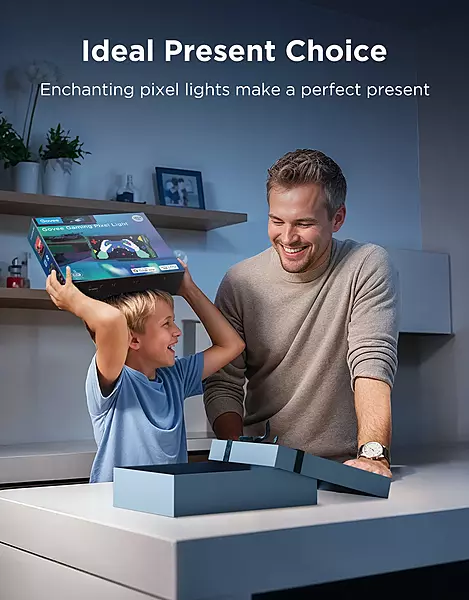Govee Pixel Light