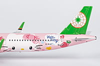 Eva Airways A321-200/w HELLO KITTY Pinky Jet - Sanrio Characters