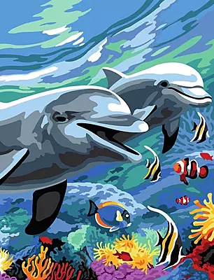 In fondo al mare con i delfini