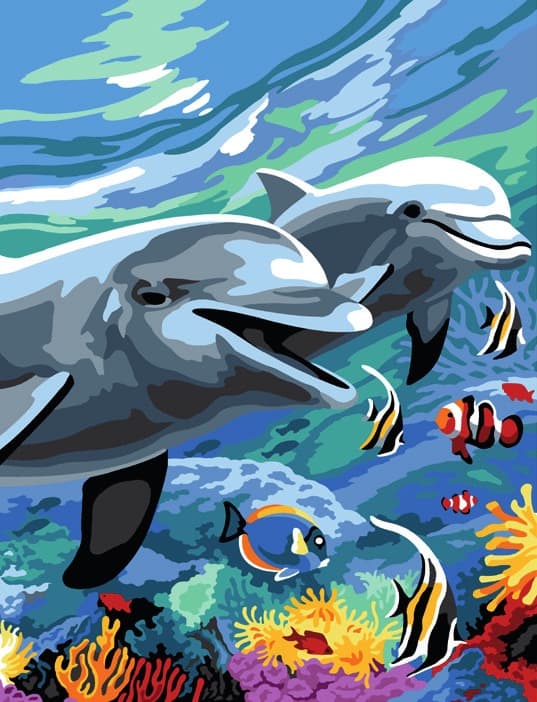 In fondo al mare con i delfini