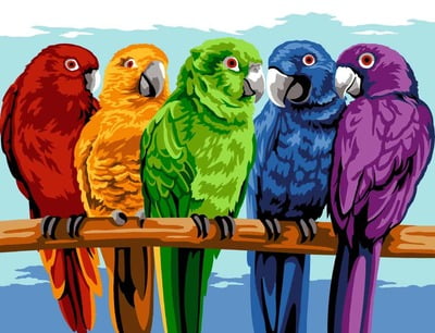 Grande arcobaleno di piume