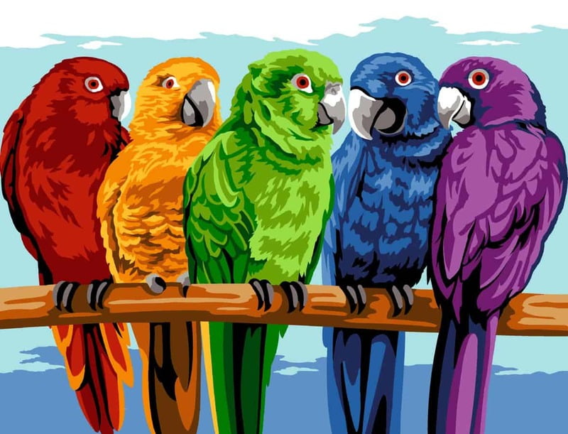 Grande arcobaleno di piume Grande arcobaleno di piume