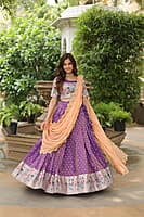 P66: Beautiful Paithani Silk Lehenga Sets