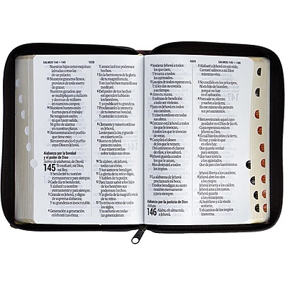 Santa Biblia Manual Letra Gigante Imitación Piel, Negra 14 puntos