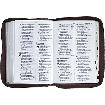 Santa Biblia Manual Letra Gigante Imitación Piel, Negra 14 puntos