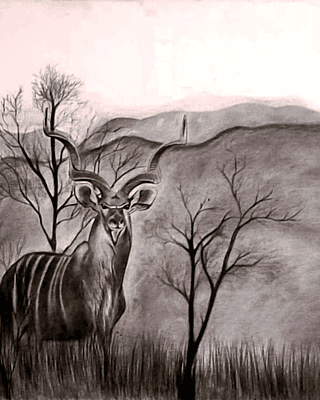 Echoes of the Bush by Annushka