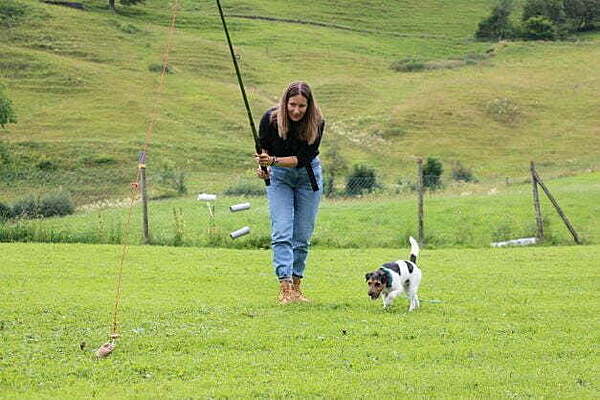 26.04.2026 Hetzangel Workshop - Kommunikation und Spannung intensiv