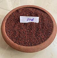கேழ்வரகு 500 G | Finger  Millet 500 G
