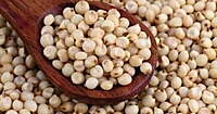 வெள்ளை சோளம் 500 G | Great Millet - white  500 G