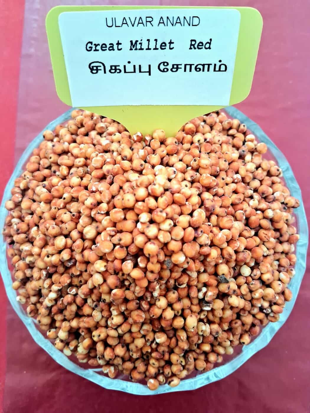 சிகப்பு சோளம் 500 G | Great Millet - Red 500 G