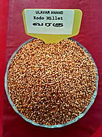 வரகு 500 G | Kodo Millet 500 G