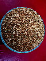 வரகு 500 G | Kodo Millet 500 G