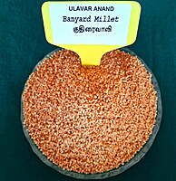 Banyard  Millet (குதிரைவாலி) 500Gram