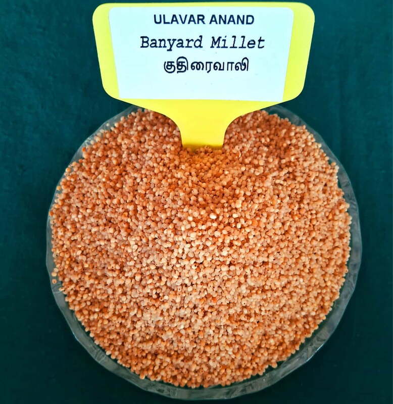Banyard  Millet (குதிரைவாலி) 500Gram