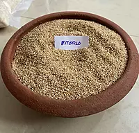 சாமை 500 G | Little Millet 500 G