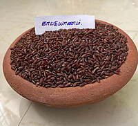 காட்டுயாணம் 500 G|Kaatuyanam  Rice  500 G
