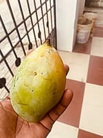 Mango - Kilimooku 5kg