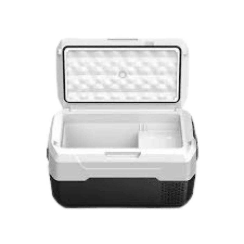 Blue Star Vaccine Transporter-AXR20