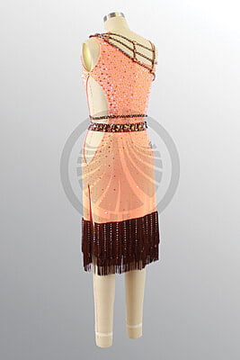 1498 D295 SR 1498 D295 SR