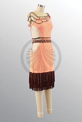 1498 D295 SR 1498 D295 SR