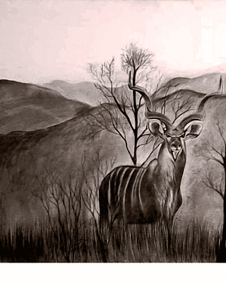 Echoes of the Bush by Annushka