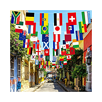 World Cup 48 Countries Flag Bunting Rope (14x20cm Flags, 13m Length)