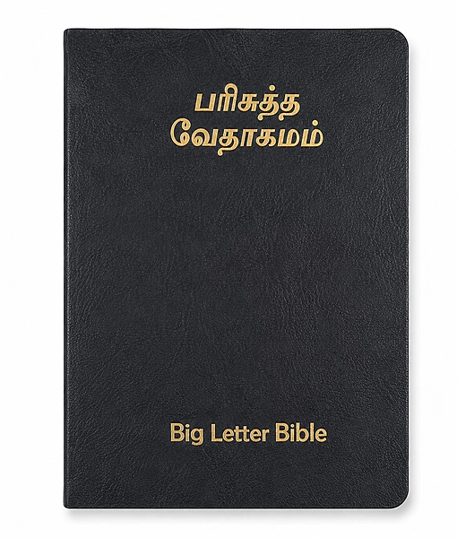 Bible Big Letter Special Open Gilt Black