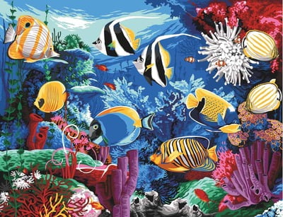 Il Nuovo Acquario Il Nuovo Acquario