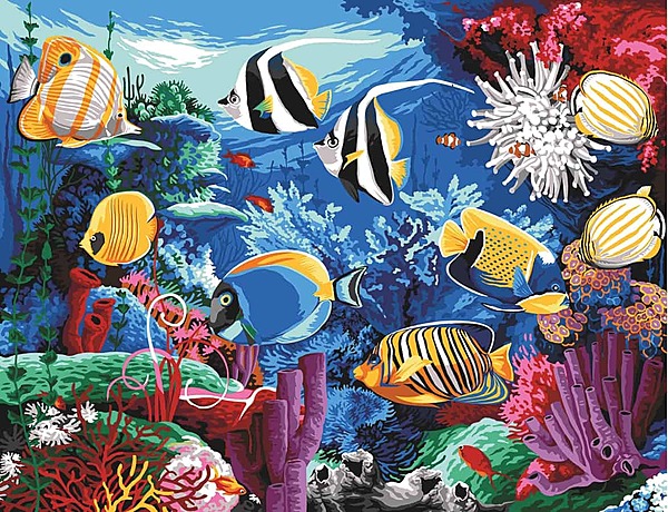 Il Nuovo Acquario Il Nuovo Acquario