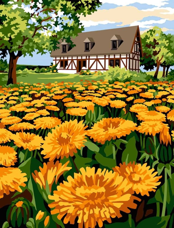 Primo piano di fiori di campagna