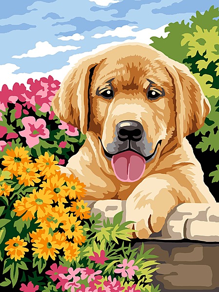 Cucciolo sul Muretto
