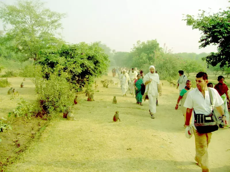 Govardhan Parikrama Special