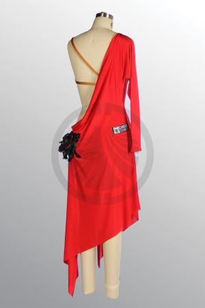 1577 B495 SR