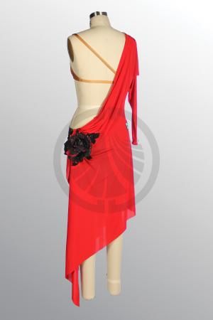 1577 B495 SR