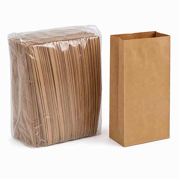 16# Brown Paper Bags 2/500