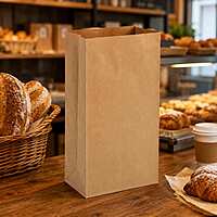 16# Brown Paper Bags 2/500