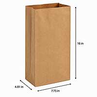 16# Brown Paper Bags 2/500