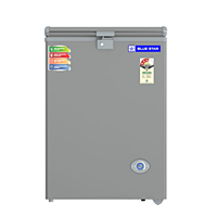 Front look of Blue Star Small Deep freezer-CF3-130NPYW-SL