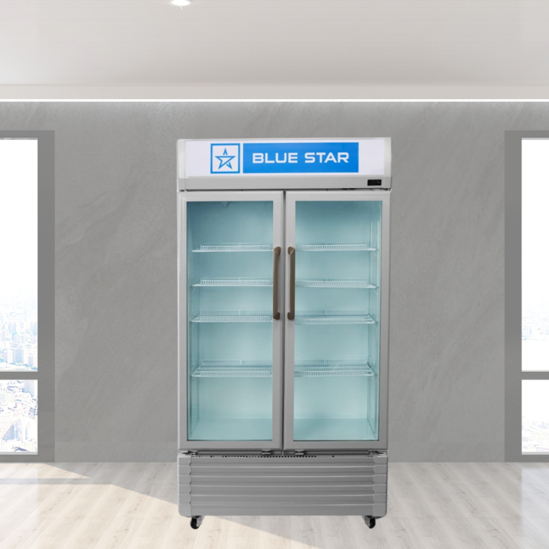 Sleek and modern design of the Blue Star VC590D Visi Cooler.