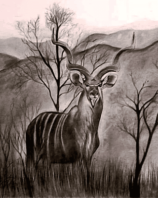 Echoes of the Bush by Annushka
